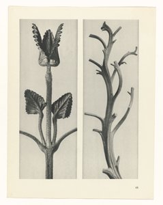 研究を計画する Archetypes of Art (シリーズタイトル)