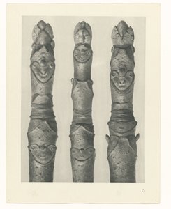 研究を計画する Archetypes of Art (シリーズタイトル) 作： Karl Blossfeldt