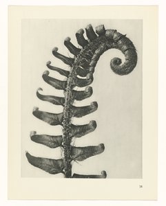 研究を計画する Archetypes of Art (シリーズタイトル)