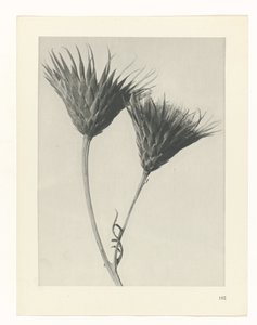 研究を計画する Archetypes of Art (シリーズタイトル)