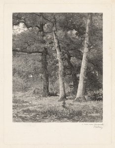 A Forest Clearing. 作： Karl Bodmer