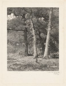  作： Karl Bodmer