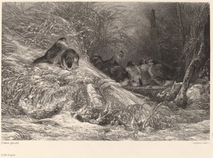 霜からの避難所 作： Karl Bodmer