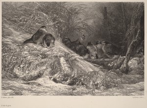  作： Karl Bodmer
