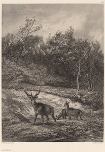 水の端で。 作： Karl Bodmer
