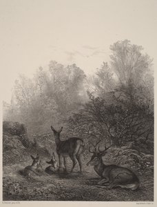  作： Karl Bodmer