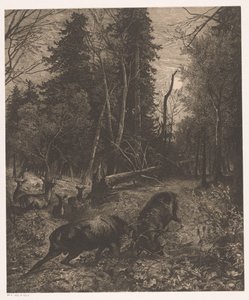 2 頭の鹿と戦う森のシーン 作： Karl Bodmer