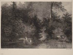  作： Karl Bodmer