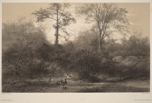  作： Karl Bodmer
