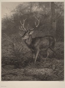  作： Karl Bodmer