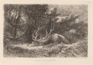 ディア ア ラ レポゼ 作： Karl Bodmer