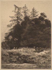  作： Karl Bodmer