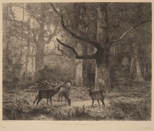  作： Karl Bodmer