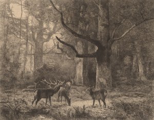 フォンテーヌブローの森 作： Karl Bodmer