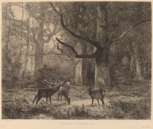 フォンテーヌブローの森 作： Karl Bodmer