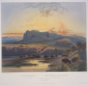 ミズーリ州上部のバイソンの群れ 作： Karl Bodmer