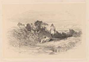 サギ 作： Karl Bodmer