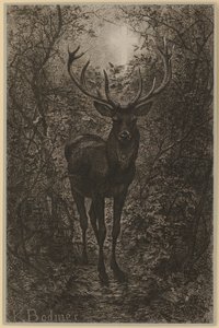  作： Karl Bodmer