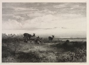 鹿のいる風景 作： Karl Bodmer
