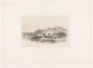 2頭のオジロジカがいる風景 動物のいる風景（連載タイトル） 作： Karl Bodmer