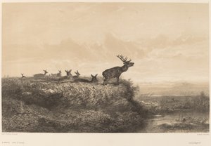 Le Matin。 作： Karl Bodmer