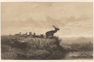 朝。 鹿とハインド 作： Karl Bodmer