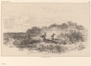 Le Repos. 作： Karl Bodmer