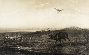  作： Karl Bodmer