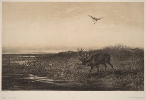  作： Karl Bodmer