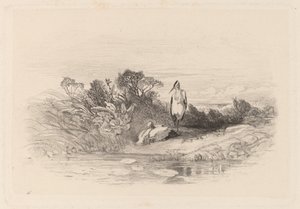 二匹のサギ 作： Karl Bodmer