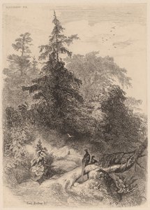 The Pheasants」です。 作： Karl Bodmer