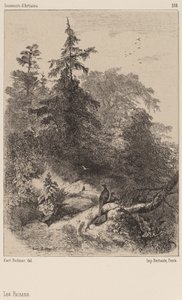 キジ 作： Karl Bodmer