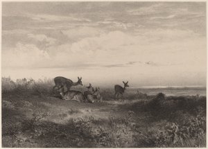 後ろ。 作： Karl Bodmer