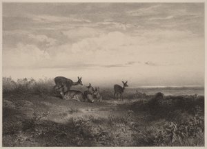  作： Karl Bodmer
