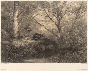 マルカシン。 作： Karl Bodmer