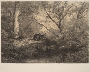  作： Karl Bodmer