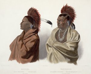 サキ族インディアンのマッシカとムスクアレー族インディアンのワクサス、プレート3は、J。ハリマンが1844年に彫刻した「北アメリカの内陸の旅」の第2巻（アクアチント）