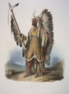 1839年に出版されたJ.ハリマンによって彫刻されたマント族の首長、マトトープ（アクアチント）