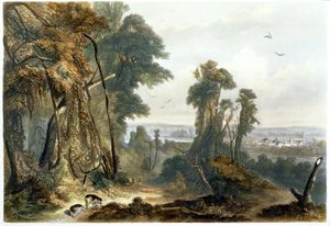 ルーバウェーバー、1844（アクアチント）によって刻まれた「北アメリカの内陸の旅」の第2巻の2版、ウォバシュのニューハーモニー 作： Karl Bodmer