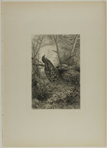 大枝の孔雀 作： Karl Bodmer
