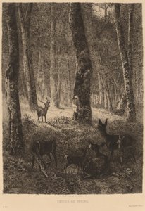 家に帰る 作： Karl Bodmer