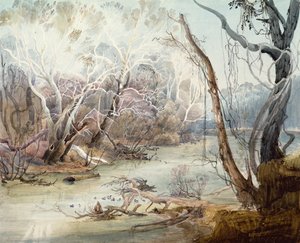インディアナ州ニューハーモニー近くのフォックス川 作： Karl Bodmer