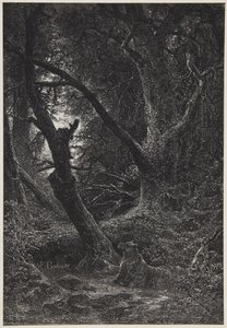  作： Karl Bodmer