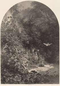 庭の一角 作： Karl Bodmer