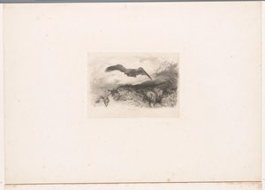 フライングイーグル 動物のいる風景（連載タイトル） 作： Karl Bodmer