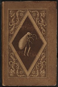 マスターノミ。 A Fairy-Tale in Seven Adventures of Two Friends (マスター フリー: A Fairy-Tale in Seven Adventures of Two Friends) 作： Karl Friedrich Thiele, Ernst Theodor Amadeus Hoffmann