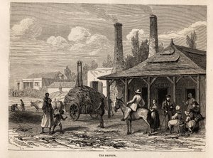 アルフレッド・ヴェルニーが1861年にモーリシャスに滞在した際に、カール・ジラルデ（1813-1871）が描いたモーリシャスのレンパート川にある砂糖工場の絵。エドゥアール・シャルトン編『Le tour du monde』に掲載されている図版 作： Karl Girardet