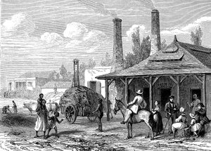 1863年、モーリシャスの製糖工場。ル・トゥ・デュ・モンド パリ 1863年 出版社 作： Karl Girardet