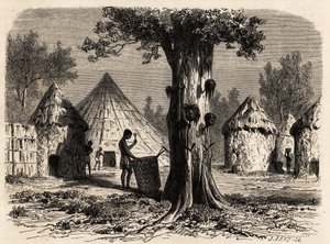 スーダン、バール＝エル＝ガザル地域のジュール村にある戦争の木。カール・ジラルデ（1813-1871）が、1856年から1857年にかけて、A・ボログネシのガゼルの川への旅を説明するために描いたもの。エドゥアール・シャルトン編集の「Le tour du monde」に掲載されている図版