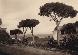 レバノン、風景（白黒写真） 作： Karl Grober